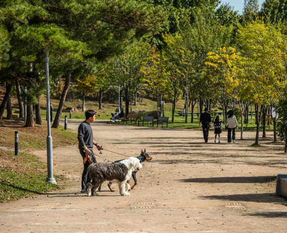 2024_gimhae_24.jpg